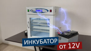 Read more about the article РАБОТА ИНКУБАТОРА ОТ АККУМУЛЯТОРА 12V