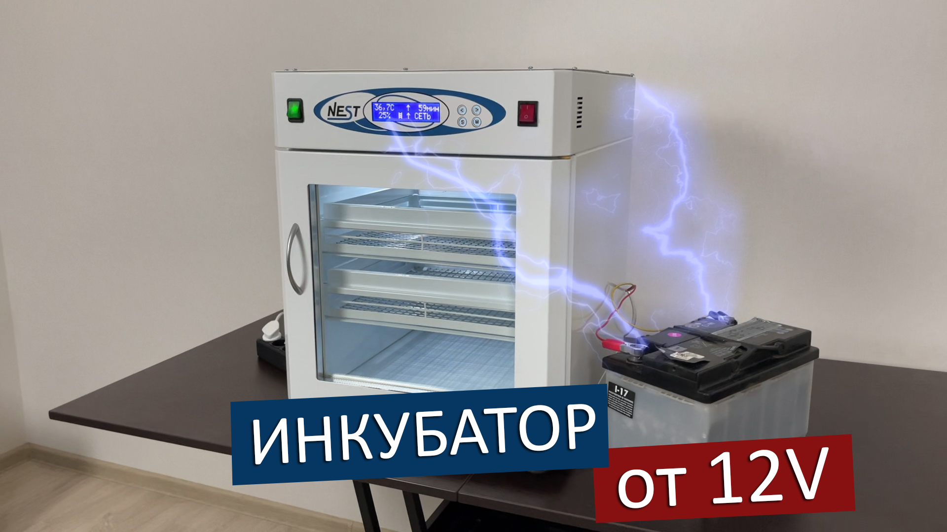 You are currently viewing РОБОТА ІНКУБАТОРА ВІД АКУМУЛЯТОРА 12V