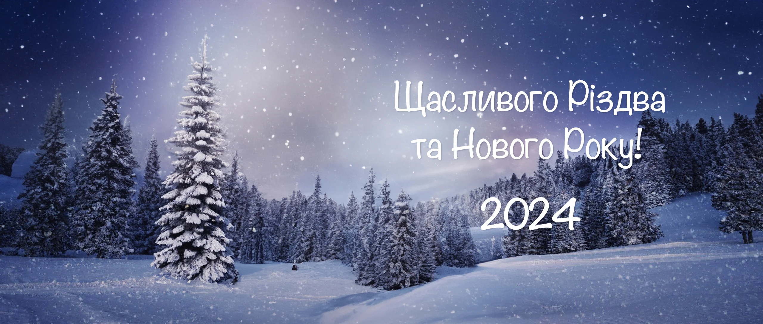 You are currently viewing З Різдвом та Новим 2024 Роком